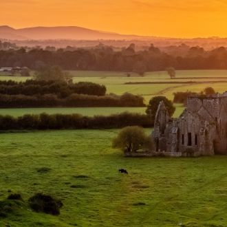 Hoare Abbey banner