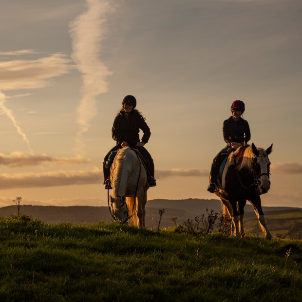 Tipperary mountain trekking gallery www.horseandjockeyhotel.com_v2