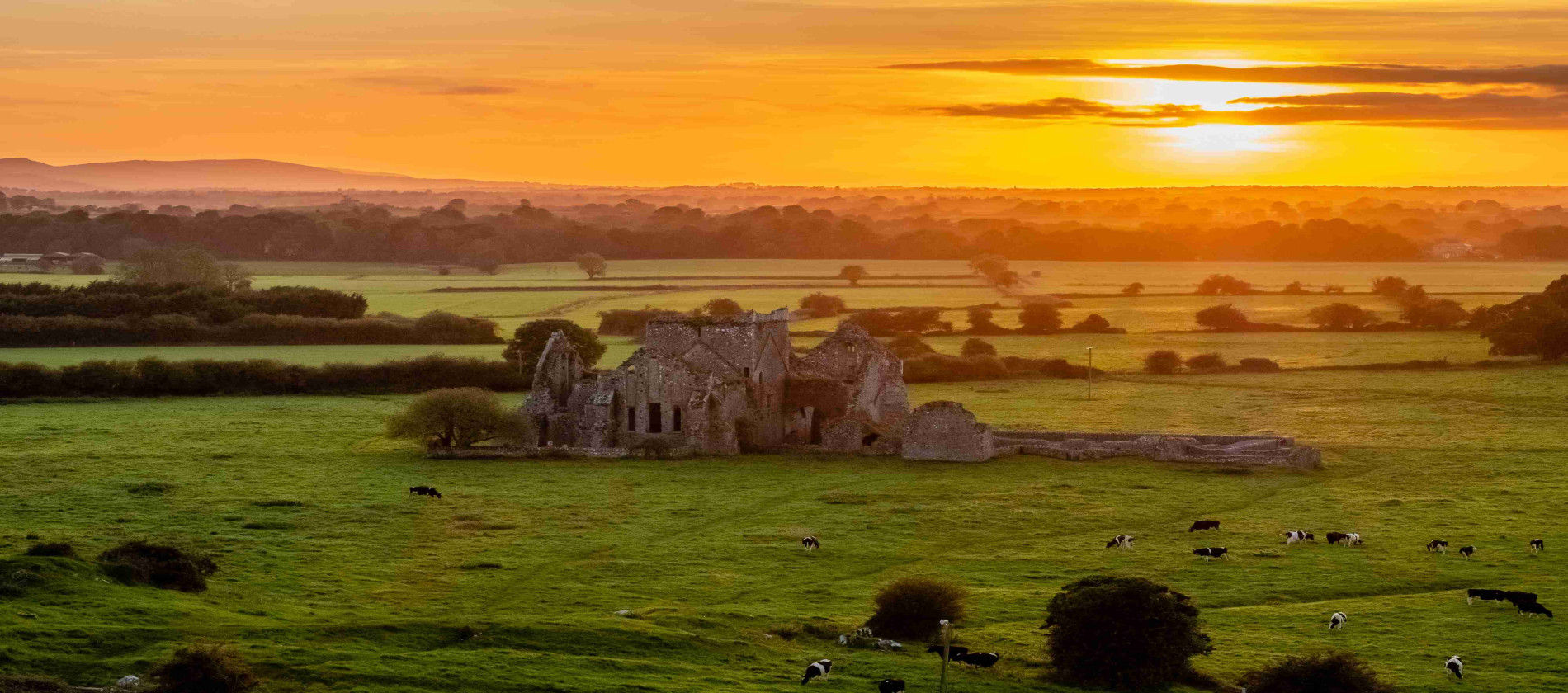 Hoare abbey compressed www.horseandjockeyhotel.com_v2