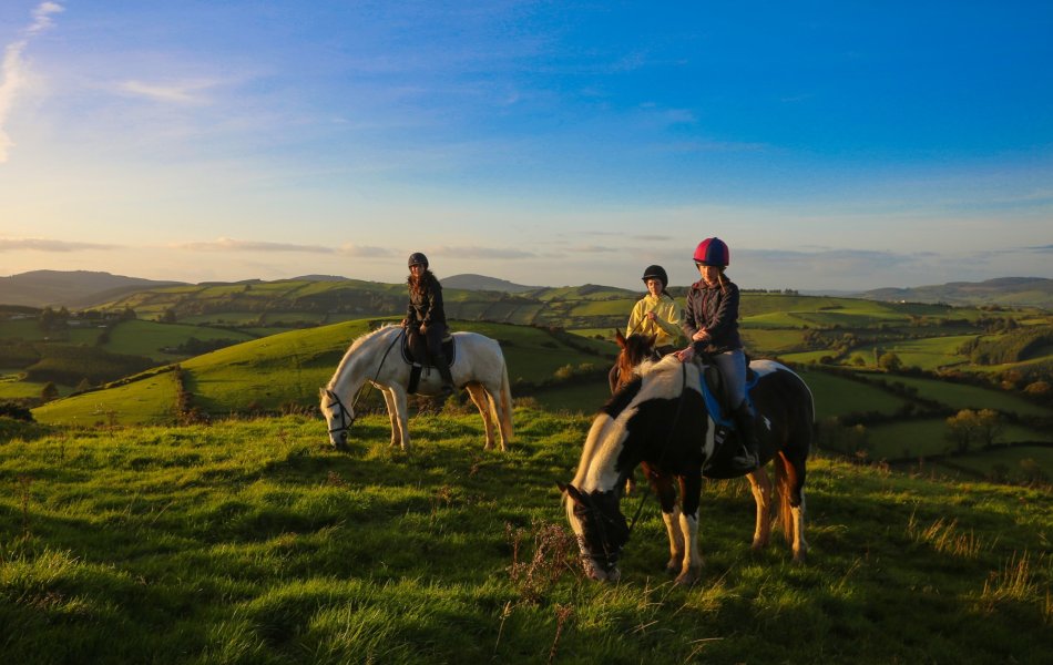 Experience Horse Country